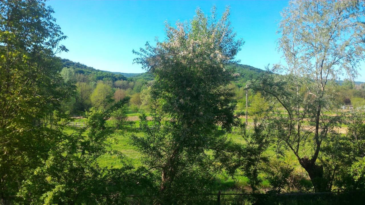 Pensiunea Casa Ghica Valea Sălciilor Zewnętrze zdjęcie